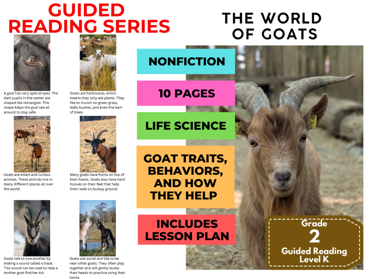 An educational teaching resource from Cored Education entitled Guided Reading Level K - The World of Goats (with Lesson Plan) downloadable at Teach Simple.