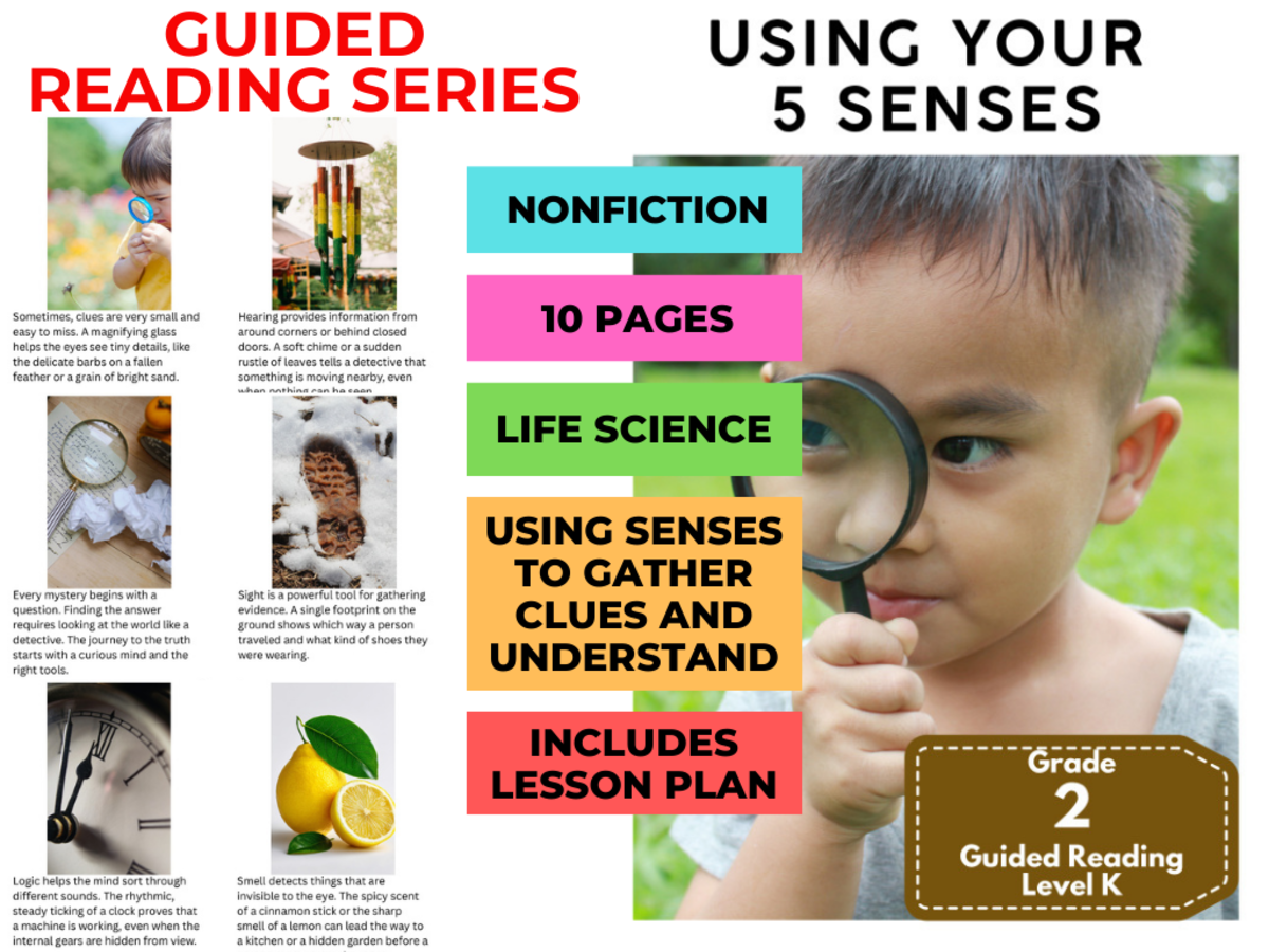 An educational teaching resource from Cored Education entitled Guided Reading Level K - Using Your 5 Senses (with Lesson Plan) downloadable at Teach Simple.