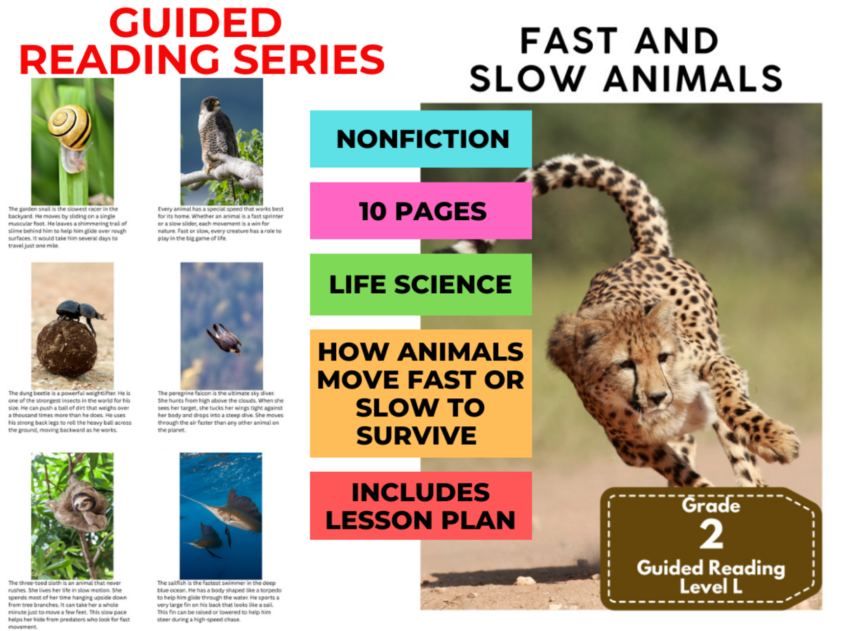 An educational teaching resource from Cored Education entitled Guided Reading Level L - Fast and Slow Animals (with Lesson Plan) downloadable at Teach Simple.