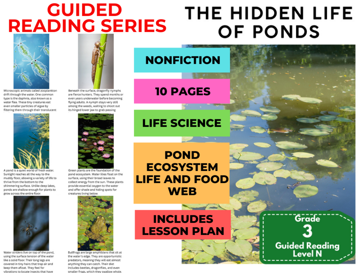 An educational teaching resource from Cored Education entitled Guided Reading Level N - The Hidden Life of Ponds (with Lesson Plan) downloadable at Teach Simple.