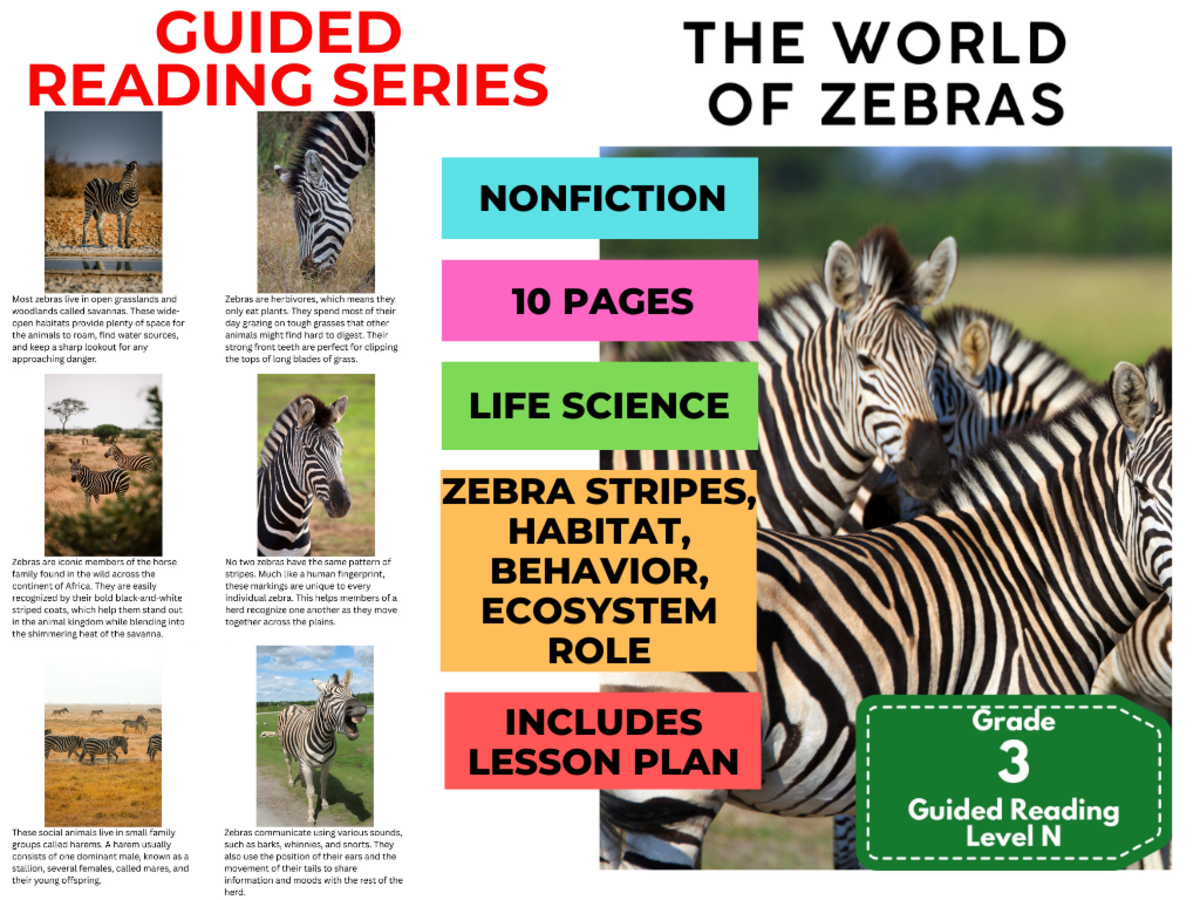 An educational teaching resource from Cored Education entitled Guided Reading Level N - World of Zebras (with Lesson Plan) downloadable at Teach Simple.
