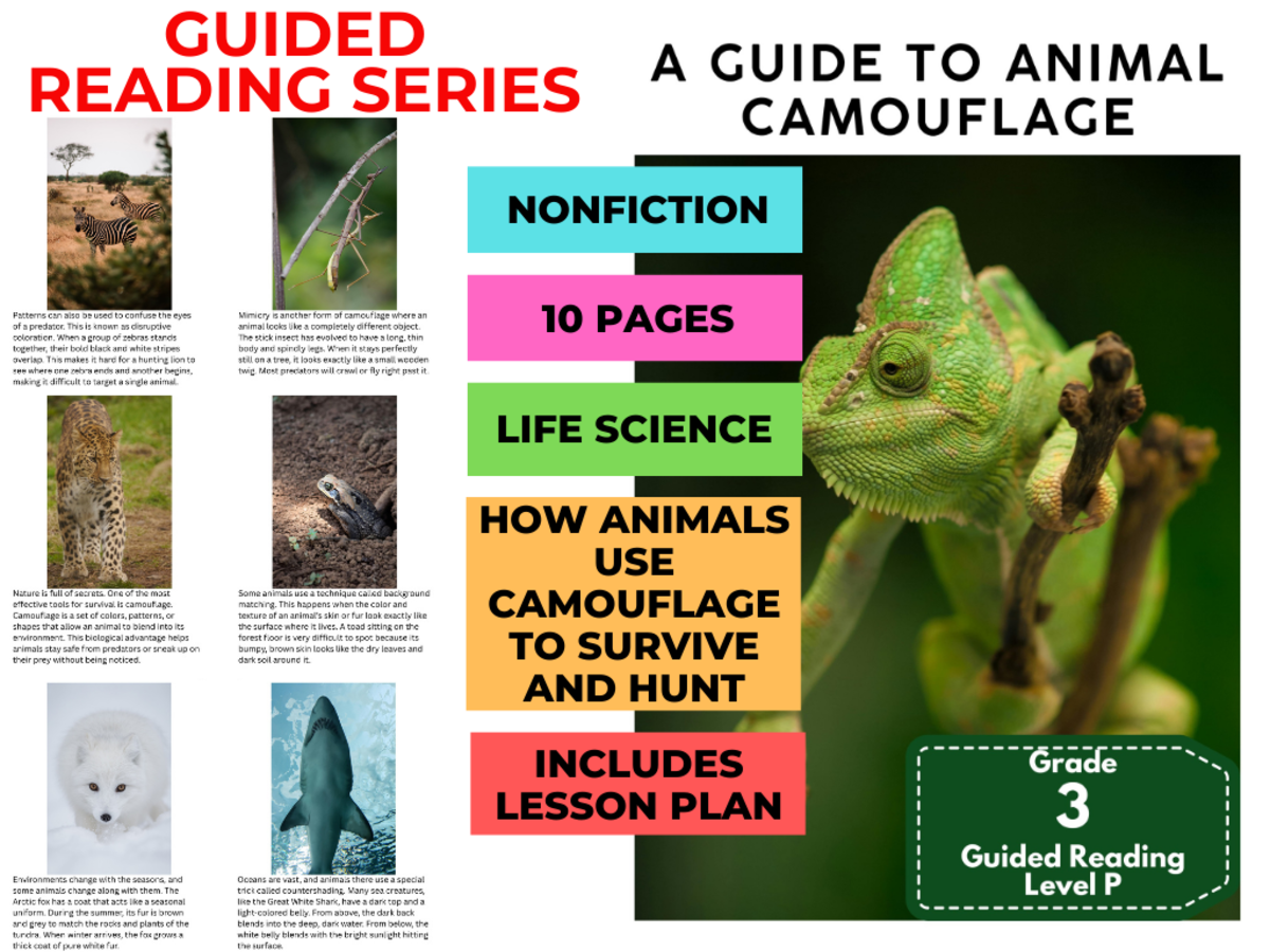 An educational teaching resource from Cored Education entitled Guided Reading Level P - Animal Camouflage (with Lesson Plan) downloadable at Teach Simple.