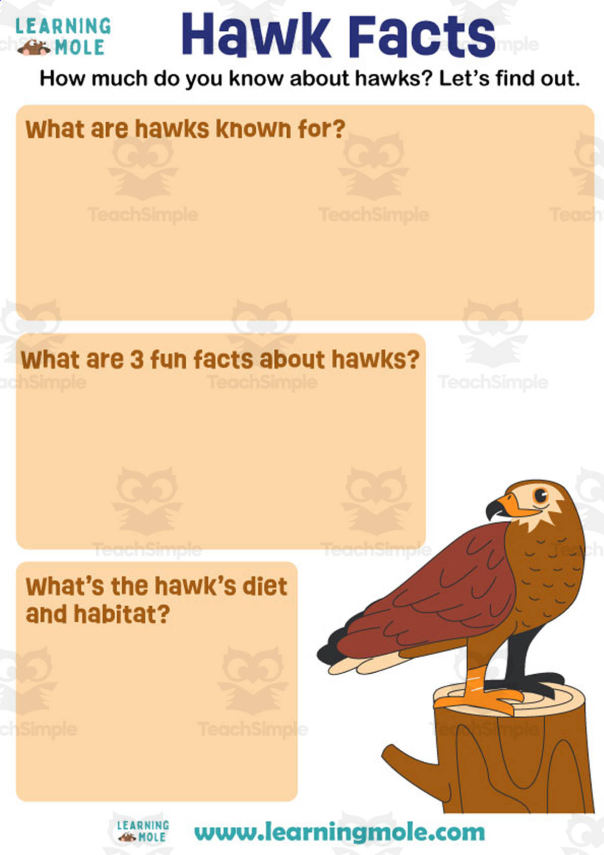 An educational teaching resource from Educational Voice entitled Hawks Activity downloadable at Teach Simple.