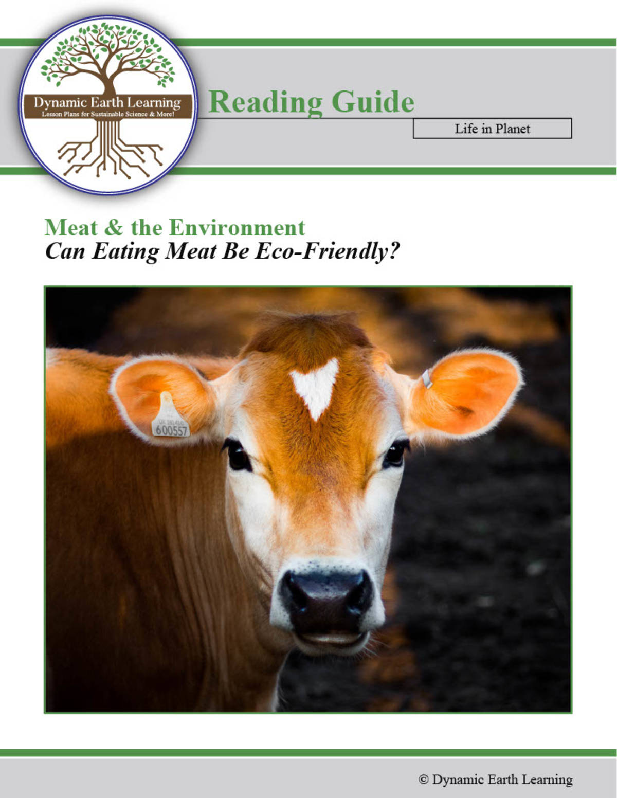 An educational teaching resource from  Dynamic Earth Learning entitled Health/ Homeschool Curricula: Can Eating Meat be Eco Friendly? (Digital & Print) downloadable at Teach Simple.