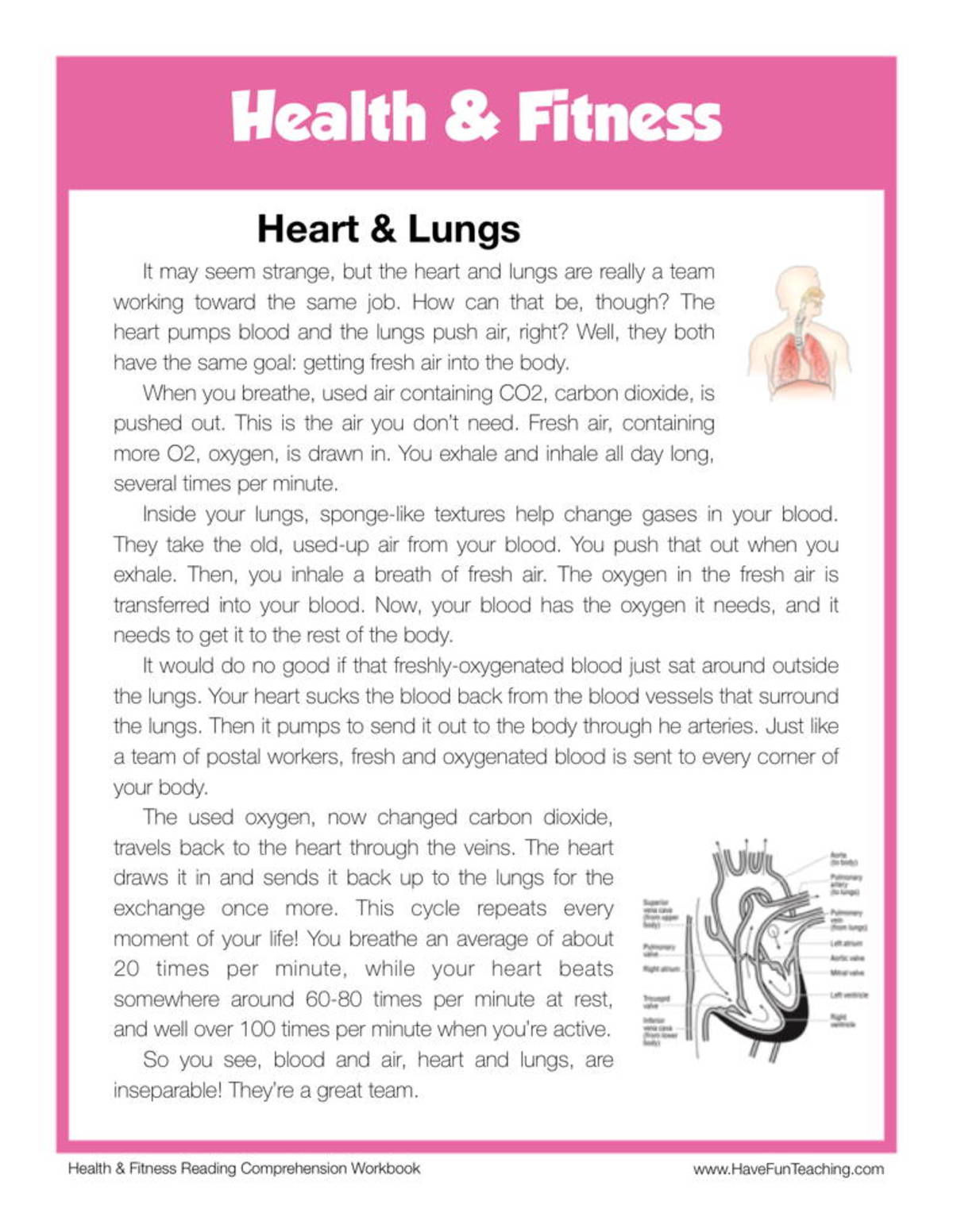 An educational teaching resource from Have Fun Teaching entitled Heart and Lungs Health and Fitness Reading Comprehension Worksheet downloadable at Teach Simple.