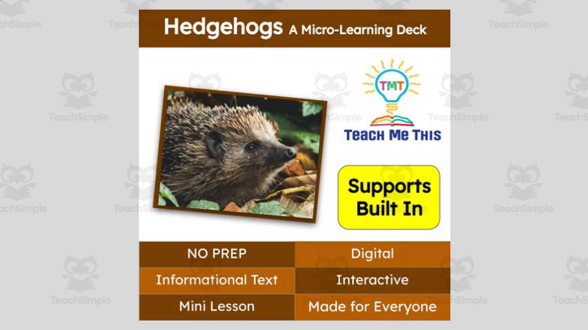 An educational teaching resource from Teach Me This entitled Hedgehog | Interactive Science Lesson | Micro-Learning Deck downloadable at Teach Simple.