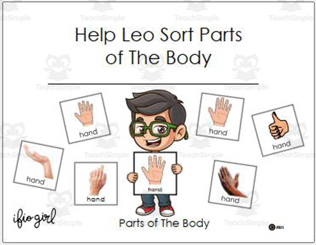 An educational teaching resource from IFIO girl - I'll Figure It Out entitled Help Leo Sort Parts of the Body downloadable at Teach Simple.