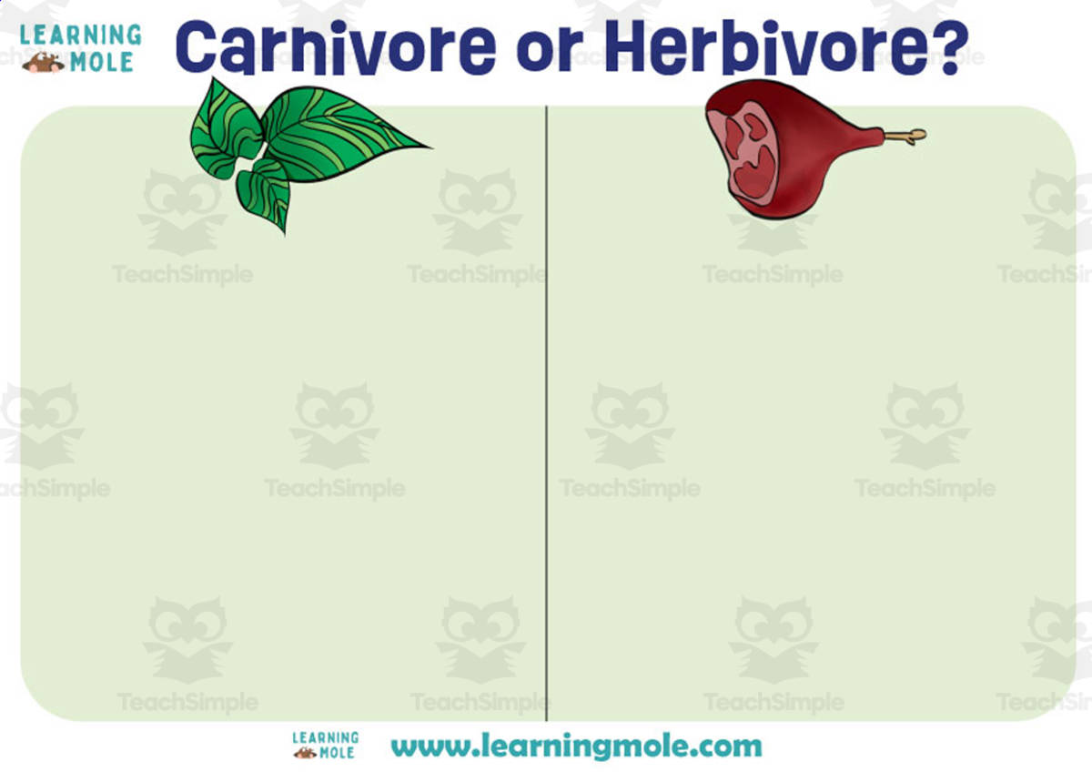 An educational teaching resource from Educational Voice entitled Herbivore and Carnivore Dinosaurs – Sorting Activity downloadable at Teach Simple.