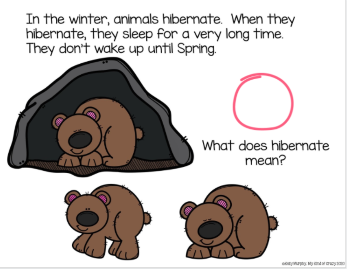 An educational teaching resource from My Kind of Crazy entitled Hibernation Adapted Book Slide Deck downloadable at Teach Simple.