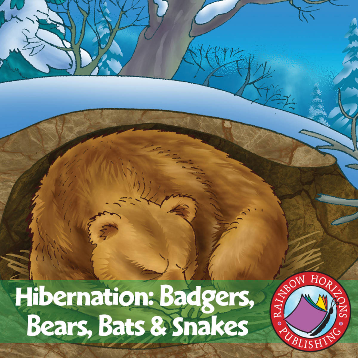 An educational teaching resource from Classroom Complete Press entitled Hibernation: Badgers, Bears, Bats & Snakes Gr. 2-3 downloadable at Teach Simple.