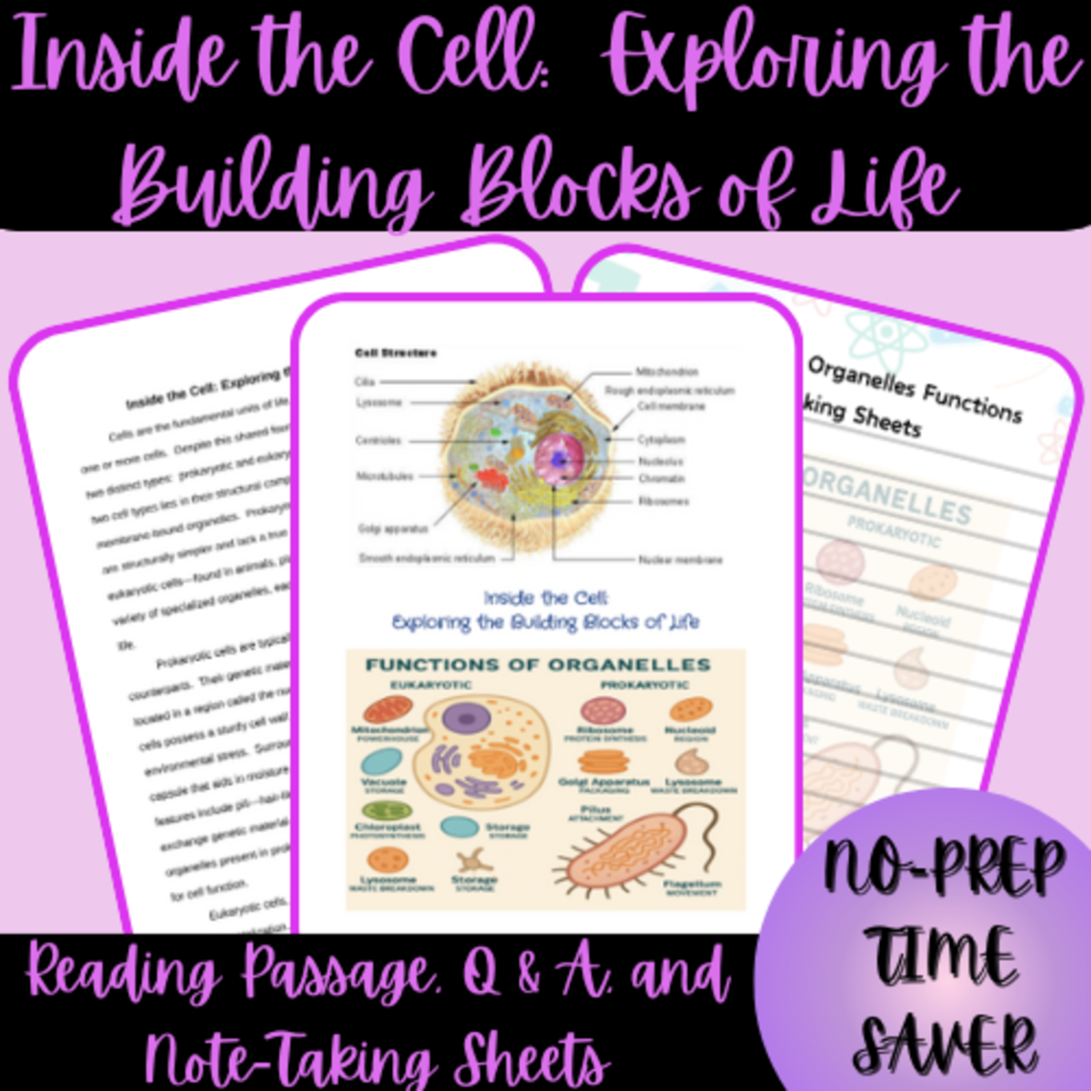 An educational teaching resource from Homeschool with Big Easy Homeschooling Mom entitled HIgh School Cell Structure & Organelles Functions Reading Passage downloadable at Teach Simple.