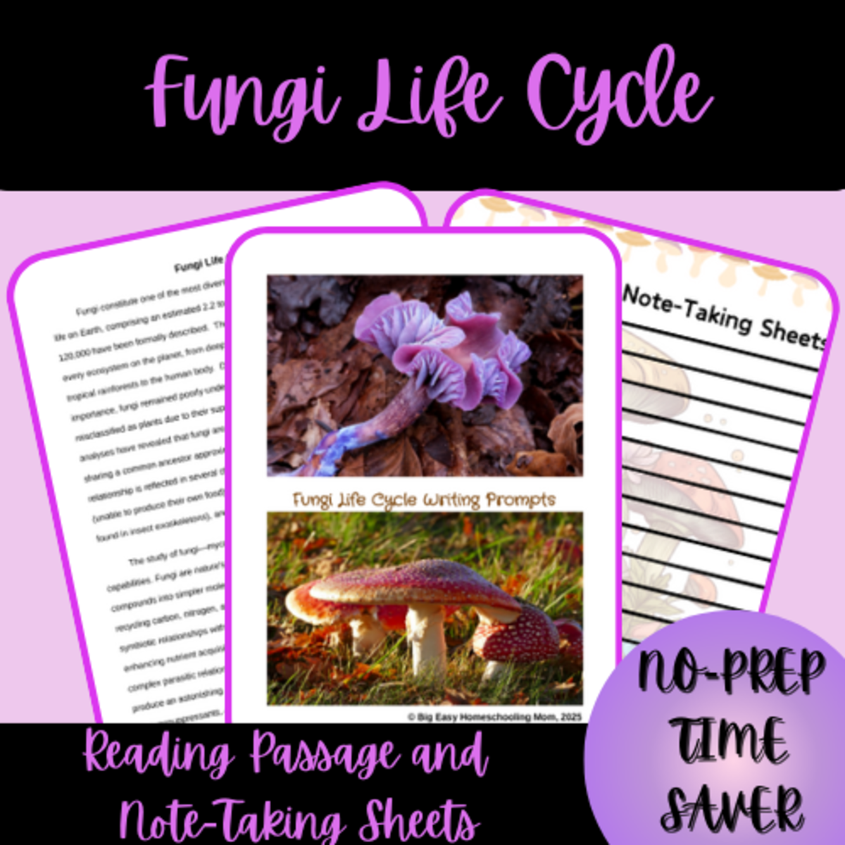 An educational teaching resource from Homeschool with Big Easy Homeschooling Mom entitled High School Science Fungi Life Cycle Reading Passage & Note-Taking She downloadable at Teach Simple.