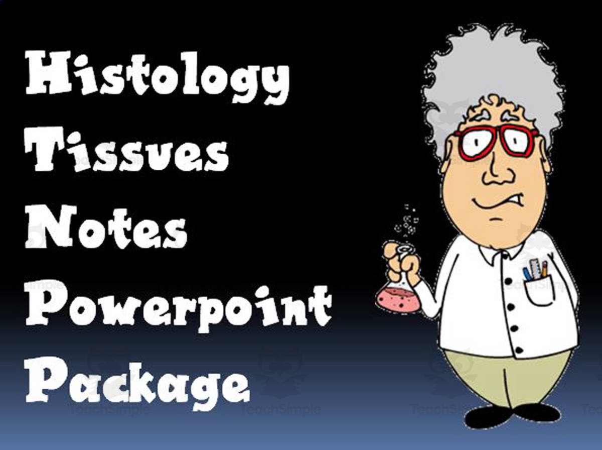An educational teaching resource from The Teacher Team entitled Histology Tissues Notes PowerPoint Package downloadable at Teach Simple.
