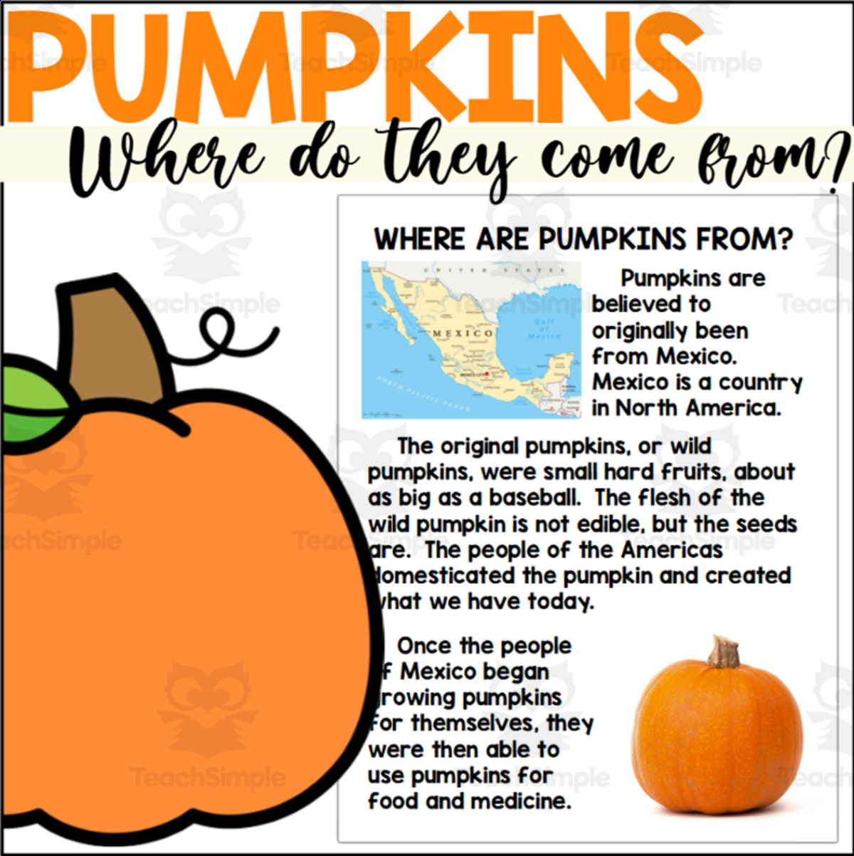 An educational teaching resource from The Connett Connection entitled History of Pumpkins Reading Page downloadable at Teach Simple.