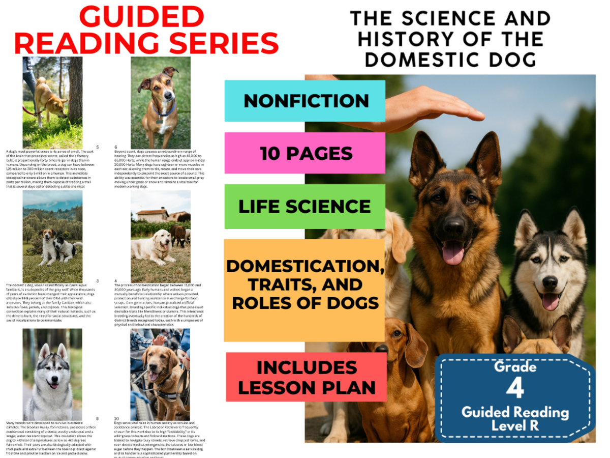 An educational teaching resource from Cored Education entitled History of the Domestic Dog: Guided Reading Level R with Lesson Plan downloadable at Teach Simple.