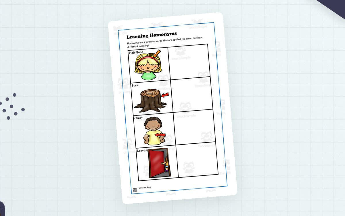 An educational teaching resource from KD's Kids School Shop entitled Homonyms Practice Worksheet downloadable at Teach Simple.