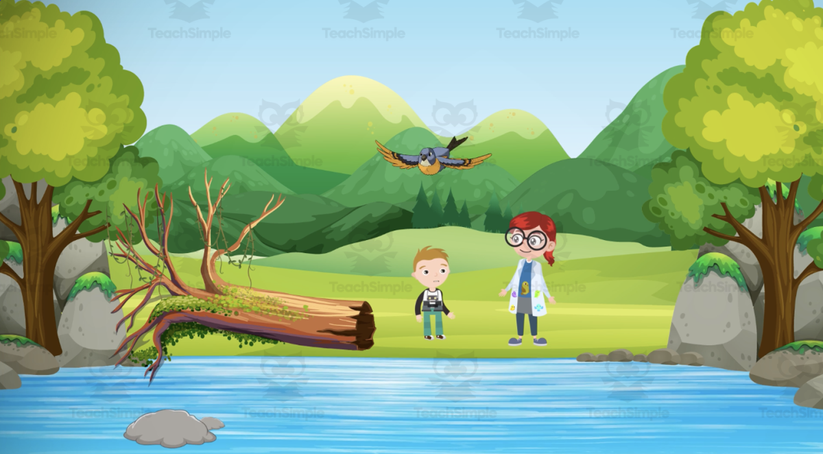 An educational teaching resource from Educational Voice entitled How do Birds Fly? | Animated Birds Video Lesson downloadable at Teach Simple.