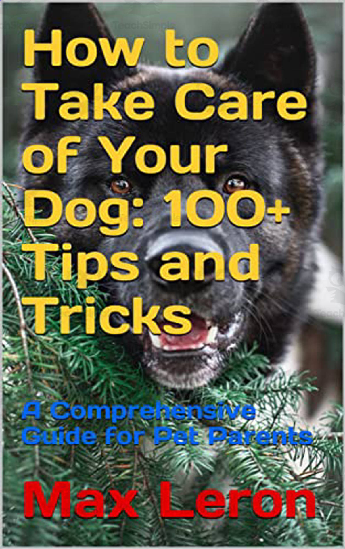 An educational teaching resource from Maxleron entitled How to Take Care of Your Dog: 100+ Tips and Tricks downloadable at Teach Simple.