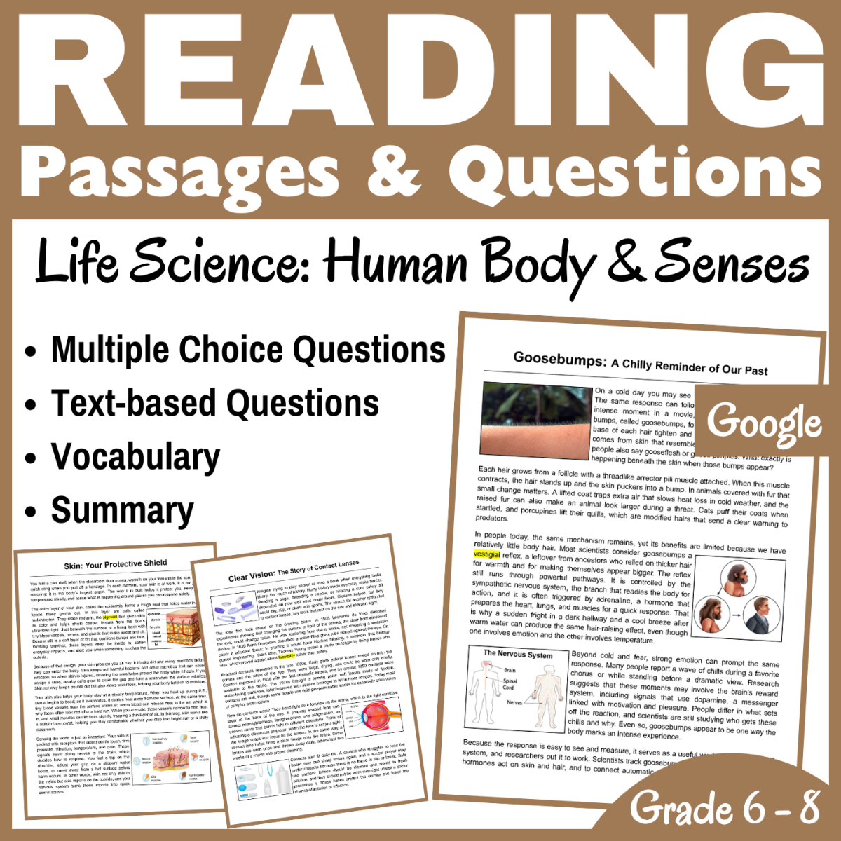 An educational teaching resource from CORED Education - Middle & High School entitled Human Body & Senses: Life Science Reading Comprehension (Google) downloadable at Teach Simple.