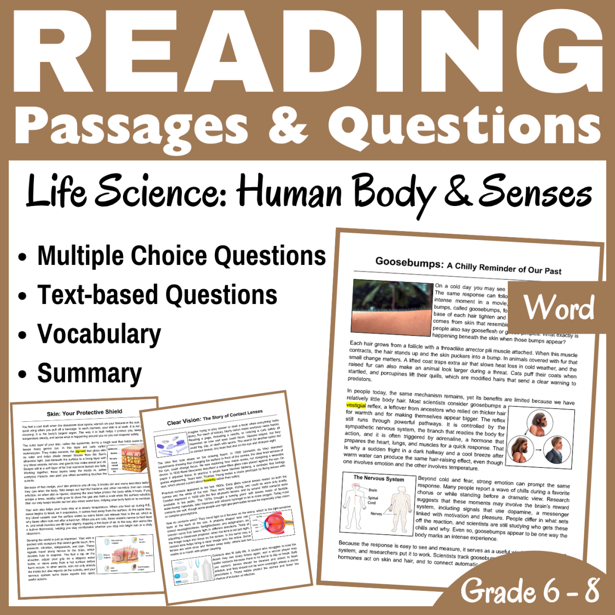 An educational teaching resource from CORED Education - Middle & High School entitled Human Body & Senses: Life Science Reading Comprehension (Word) downloadable at Teach Simple.