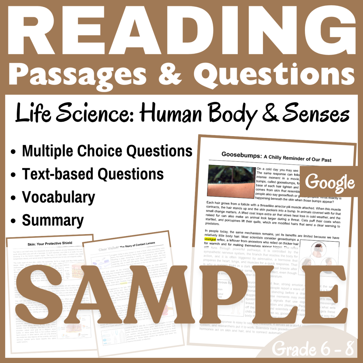 An educational teaching resource from CORED Education - Middle & High School entitled Human Body & Senses: SAMPLE Life Science Reading Passage (Google) downloadable at Teach Simple.
