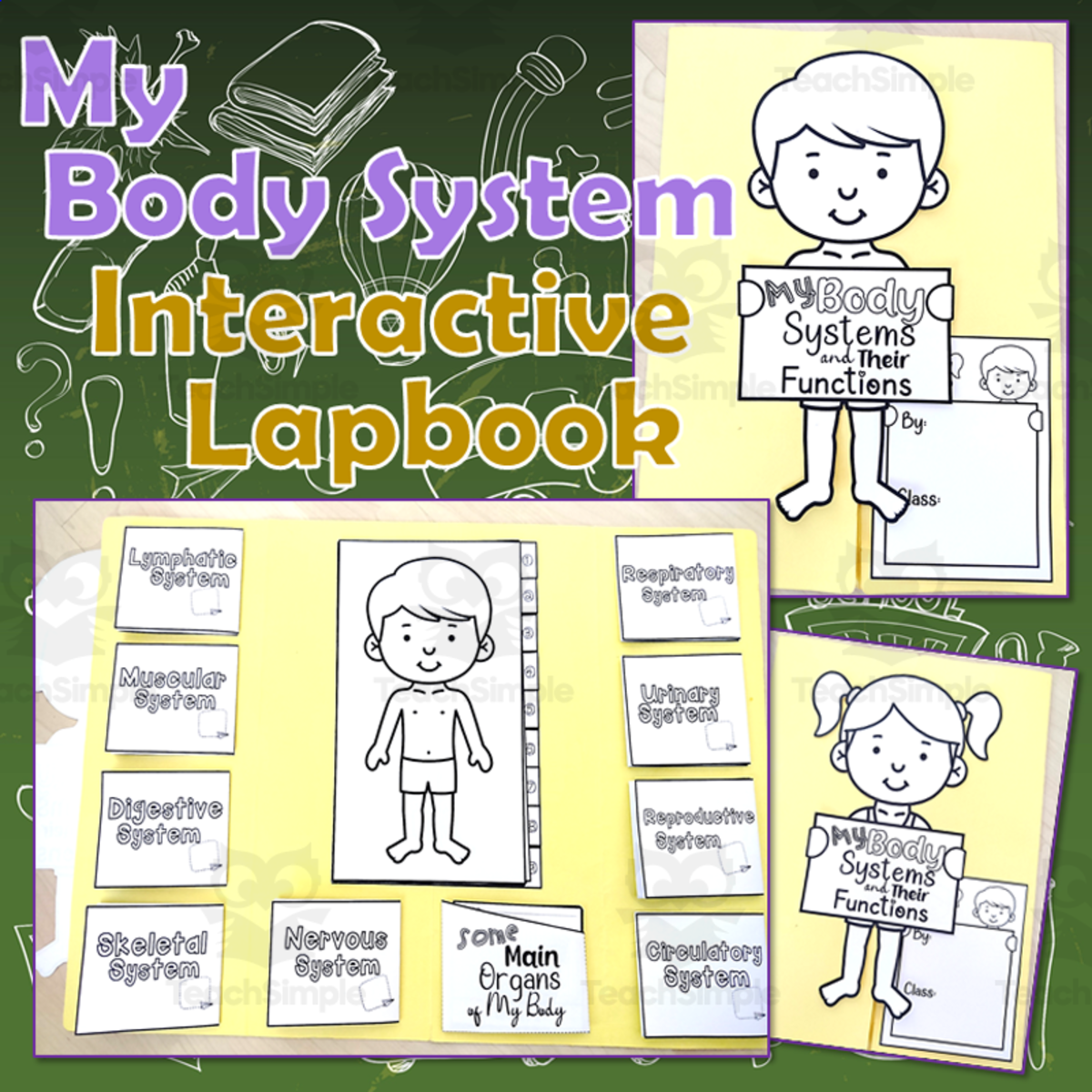 An educational teaching resource from It's Teacher L entitled Human Body System and Some Main Organs Lapbook downloadable at Teach Simple.