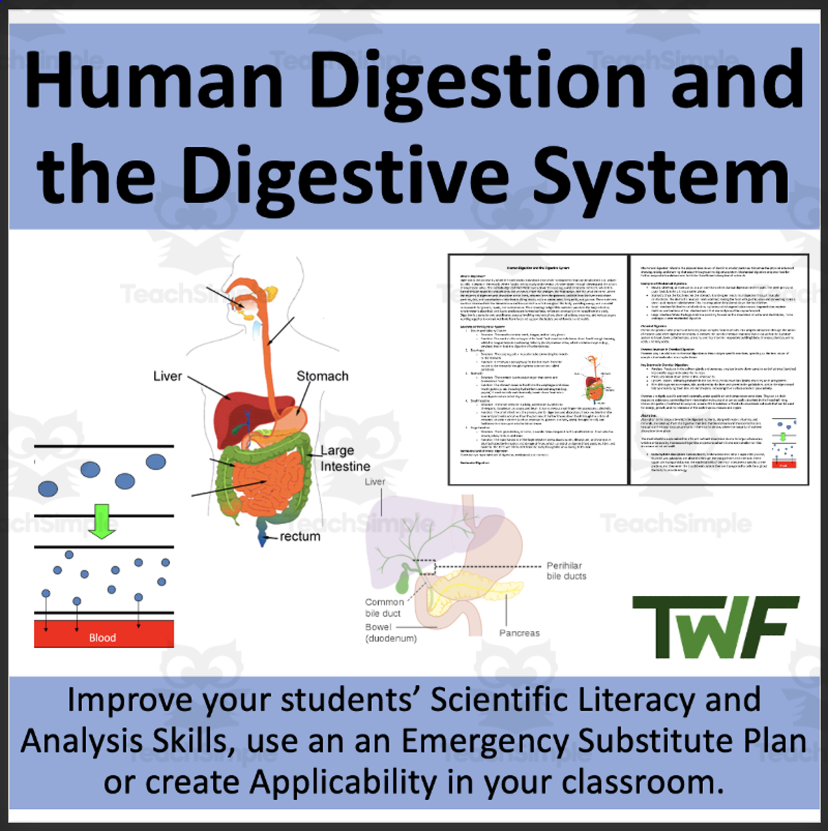 An educational teaching resource from Teach With Fergy entitled Human Digestion and the Digestive System-Reading Comprehension Article downloadable at Teach Simple.