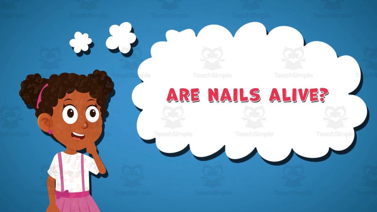 An educational teaching resource from Educational Voice entitled I WONDER - Are Nails Alive | Animated Video Lesson downloadable at Teach Simple.