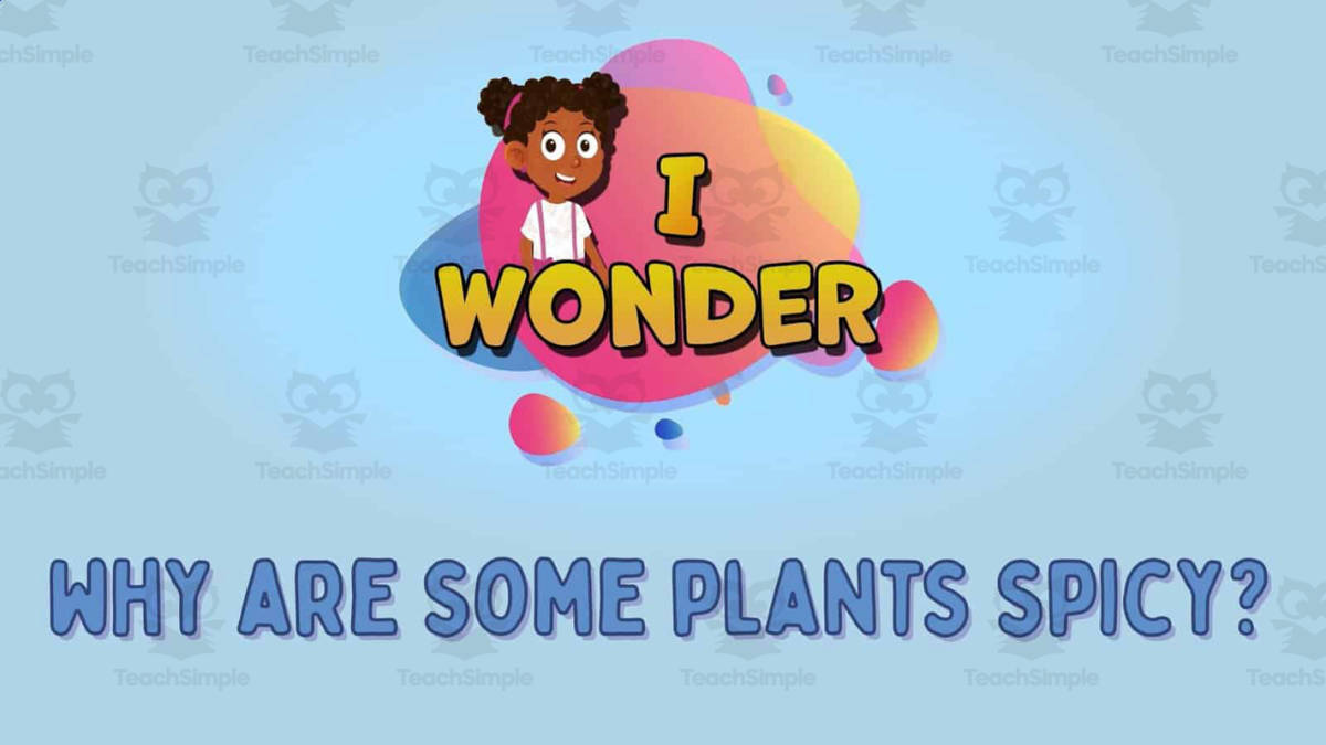 An educational teaching resource from Educational Voice entitled I WONDER - Are There Carnivorous Plants  | Animated Video Lesson downloadable at Teach Simple.