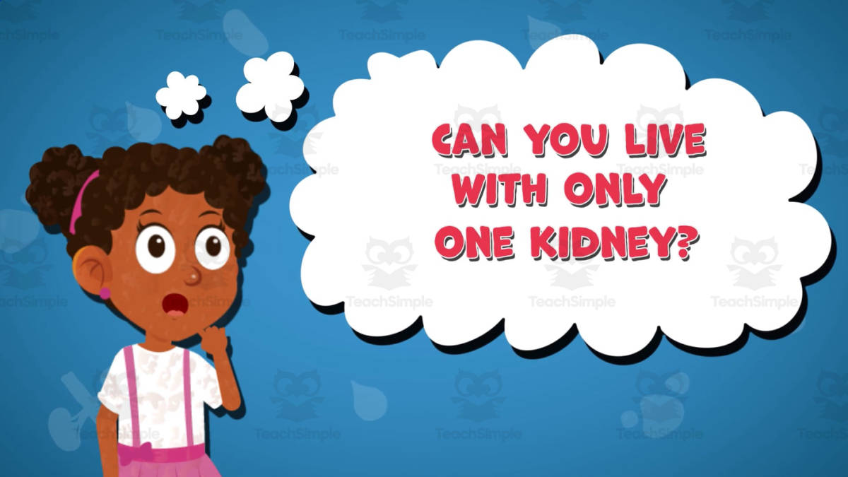 An educational teaching resource from Educational Voice entitled I WONDER - Can You Live With One Kidney | Animated Video Lesson downloadable at Teach Simple.