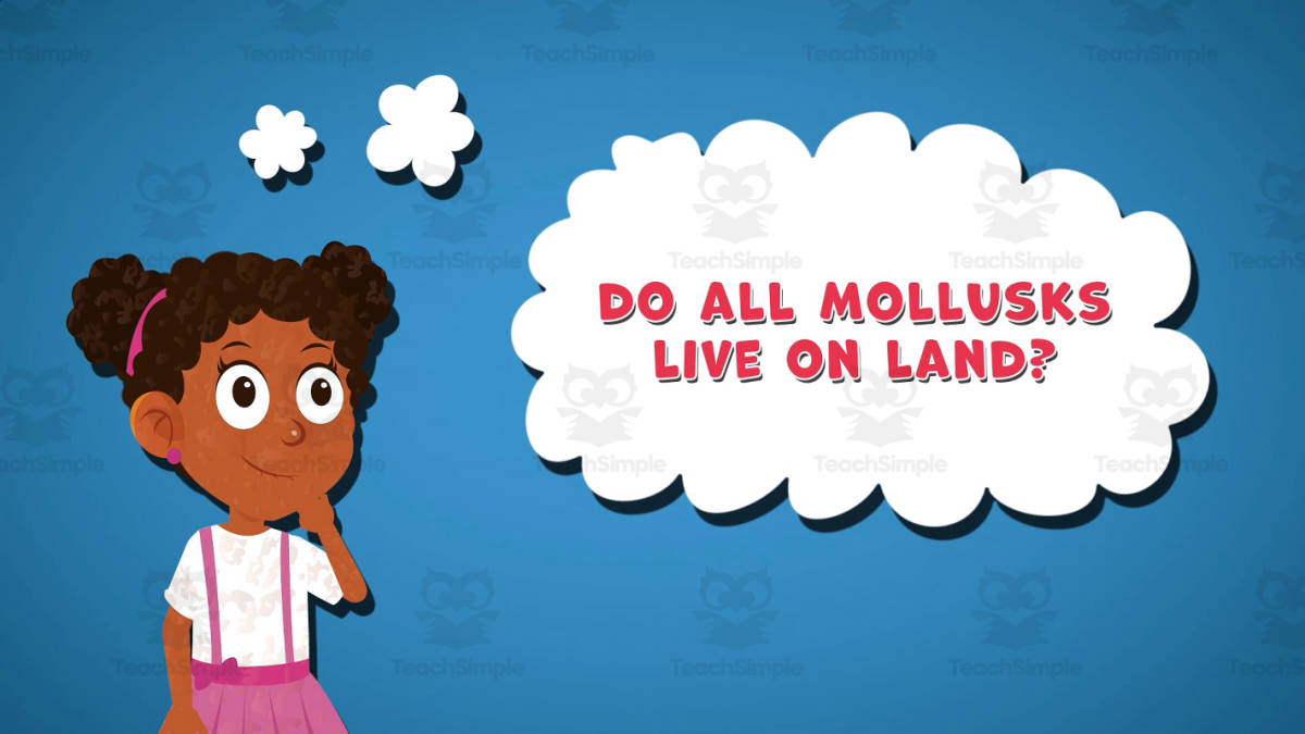 An educational teaching resource from Educational Voice entitled I WONDER - Do All Mollusks Live On Land | Animated Video Lesson downloadable at Teach Simple.