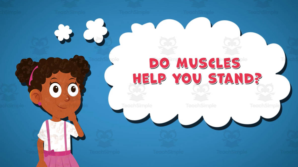 An educational teaching resource from Educational Voice entitled I WONDER - Do Muscles Help You Stand | Animated Video Lesson downloadable at Teach Simple.