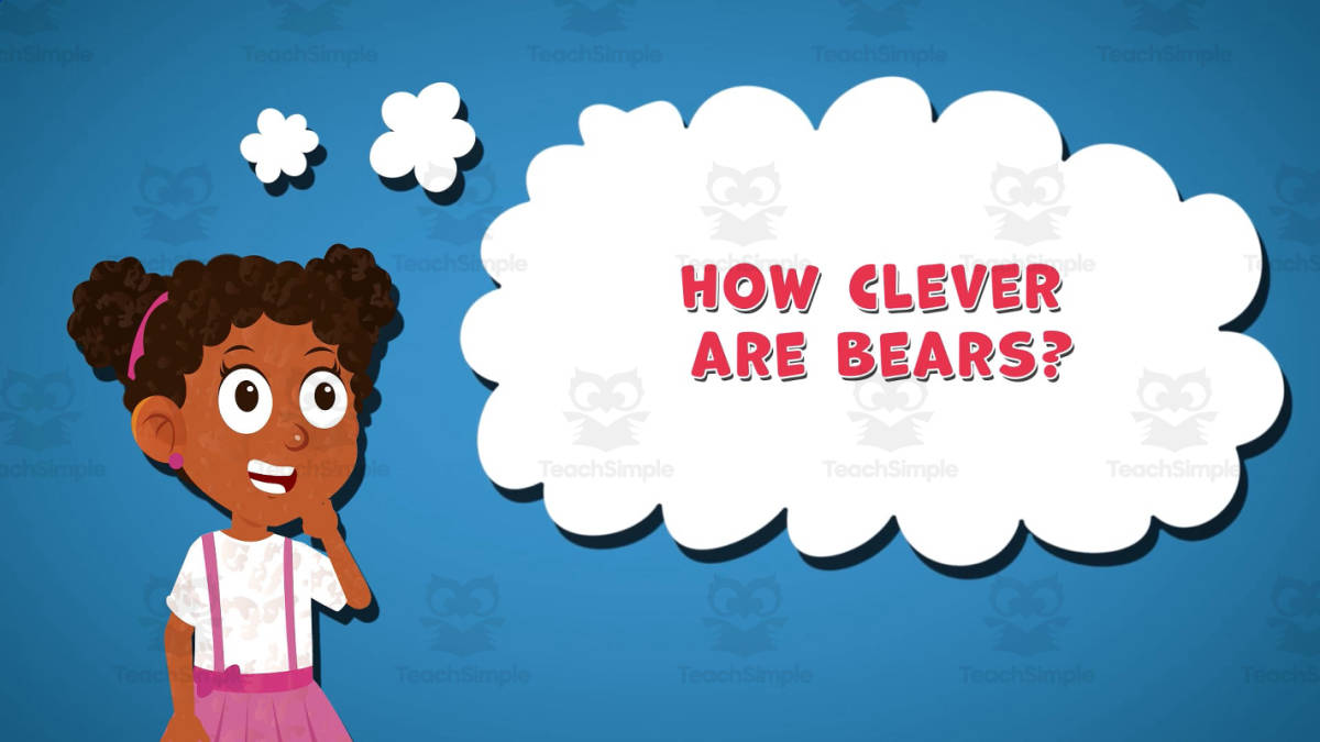 An educational teaching resource from Educational Voice entitled I WONDER - How Clever Are Bears | Animated Video Lesson downloadable at Teach Simple.
