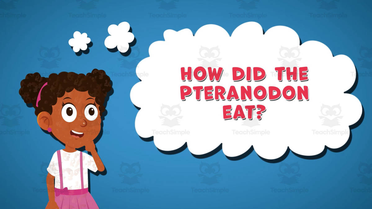 An educational teaching resource from Educational Voice entitled I WONDER - How Did The Pteranodon Eat | Animated Video Lesson downloadable at Teach Simple.