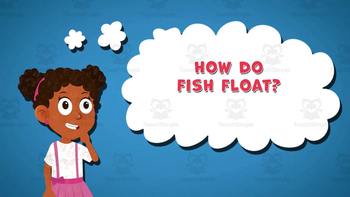 An educational teaching resource from Educational Voice entitled I WONDER - How Do Fish Float | Animated Video Lesson downloadable at Teach Simple.