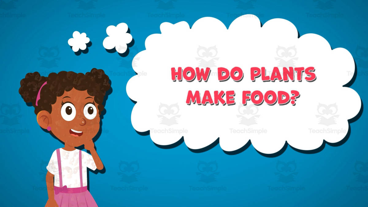 An educational teaching resource from Educational Voice entitled I WONDER - How Do Plants Make Food | Animated Video Lesson downloadable at Teach Simple.