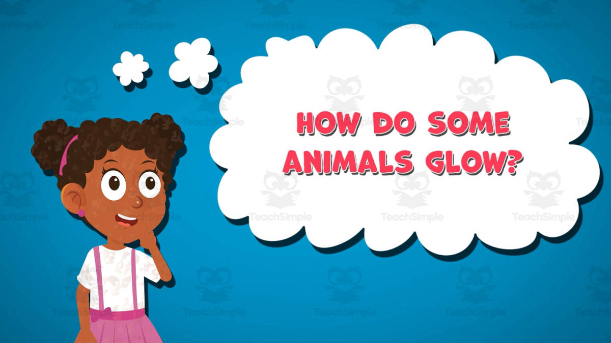 An educational teaching resource from Educational Voice entitled I WONDER - How Do Some Animals Glow | Animated Video Lesson downloadable at Teach Simple.