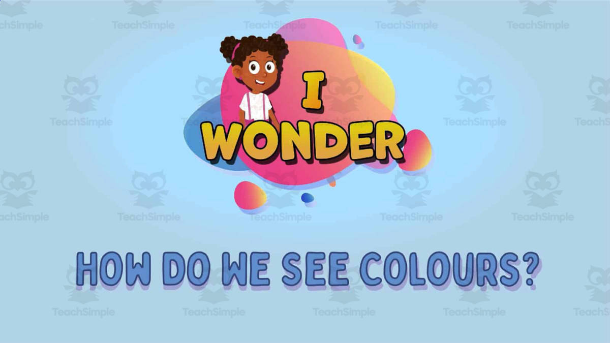 An educational teaching resource from Educational Voice entitled I WONDER - How Do We See Colours | Animated Video Lesson downloadable at Teach Simple.