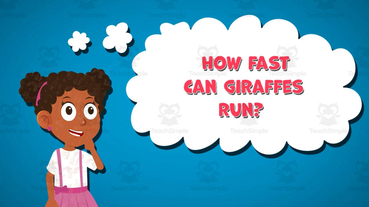 An educational teaching resource from Educational Voice entitled I WONDER - How Fast Can Giraffes Run | Animated Video Lesson downloadable at Teach Simple.