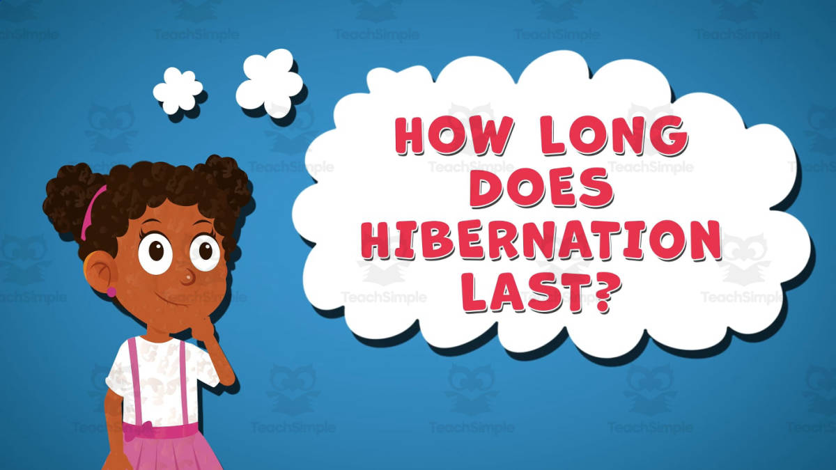 An educational teaching resource from Educational Voice entitled I WONDER - How Long Does Hibernation Last | Animated Video Lesson downloadable at Teach Simple.