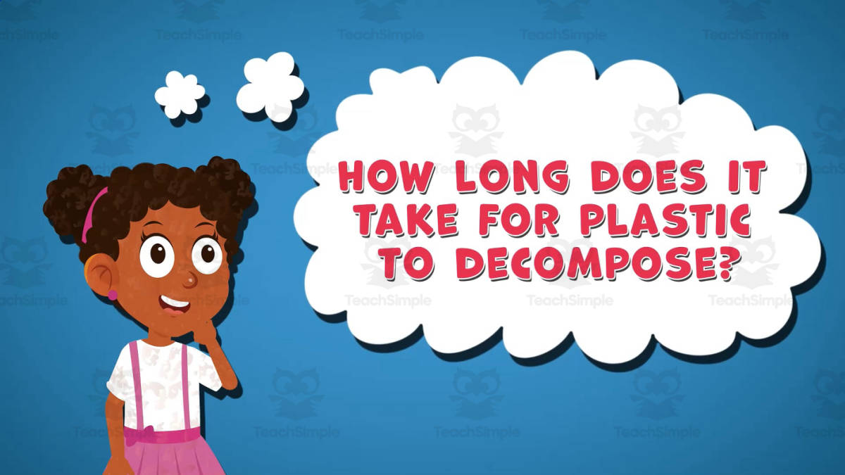 An educational teaching resource from Educational Voice entitled I WONDER - How Long Does It Take For Plastic To Decompose downloadable at Teach Simple.