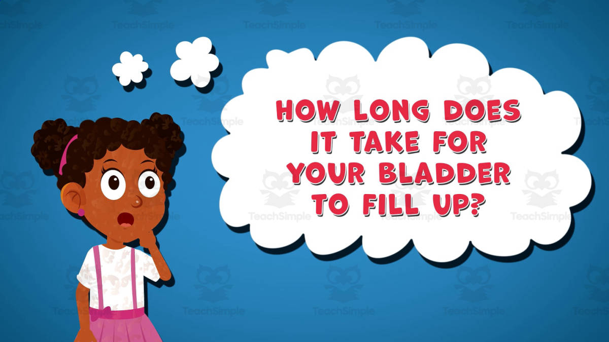 An educational teaching resource from Educational Voice entitled I WONDER - How Long Does It Take For Your Bladder To Fill Up downloadable at Teach Simple.