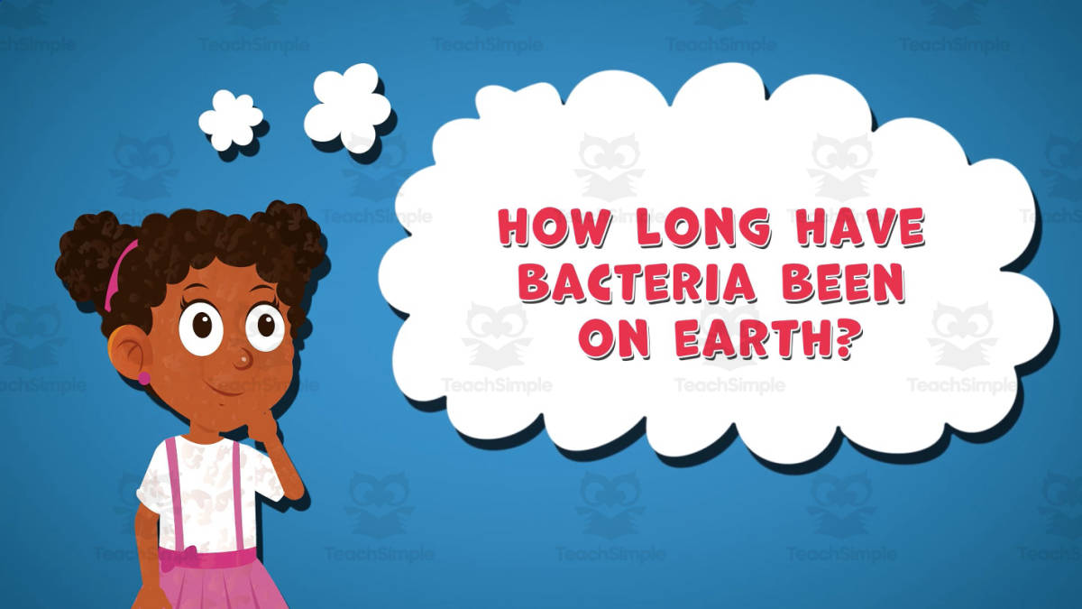 An educational teaching resource from Educational Voice entitled I WONDER - How Long Have Bacteria Been On Earth | Animated Video downloadable at Teach Simple.