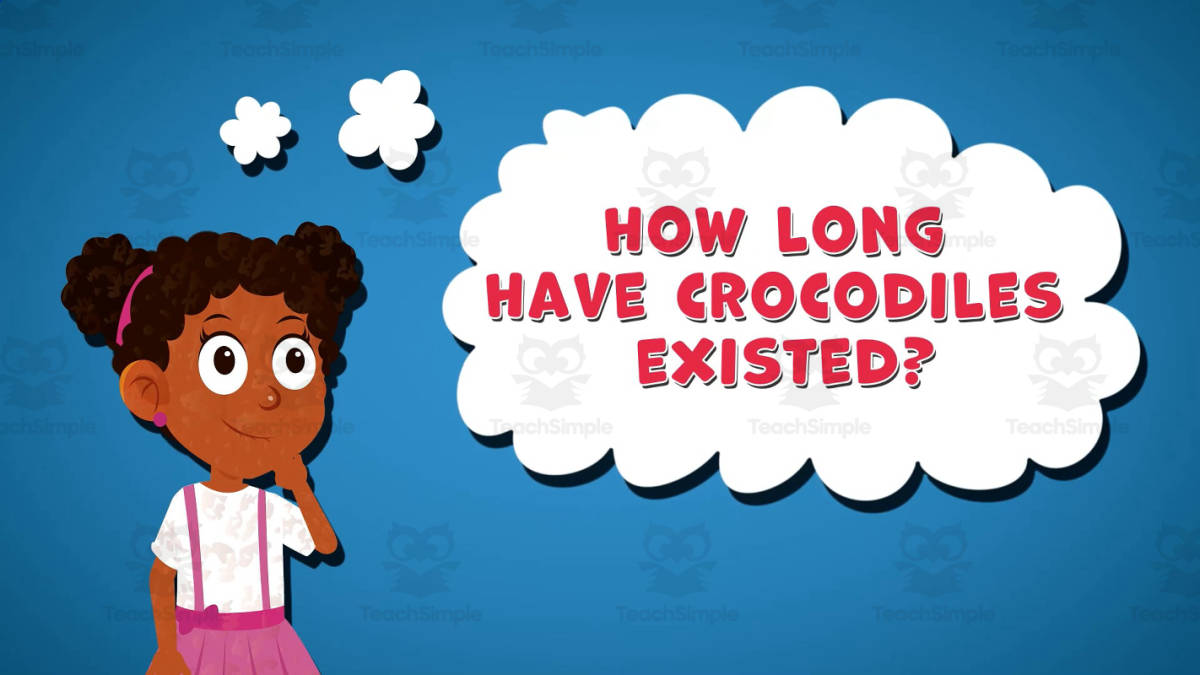 An educational teaching resource from Educational Voice entitled I WONDER - How Long Have Crocodiles Existed | Animated Video downloadable at Teach Simple.