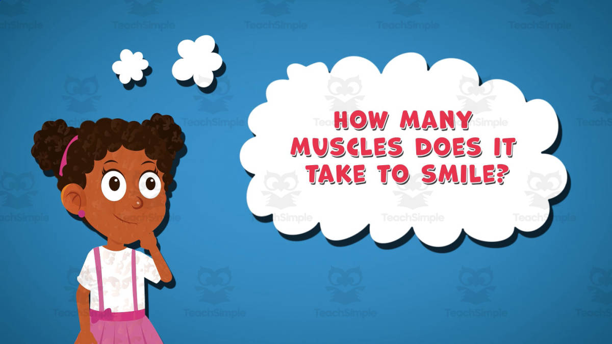 An educational teaching resource from Educational Voice entitled I WONDER - How Many Muscles Does It Take To Smile | Animated Video downloadable at Teach Simple.