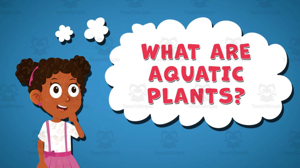 An educational teaching resource from Educational Voice entitled I WONDER - What Are Aquatic Plants | Animated Video Lesson downloadable at Teach Simple.
