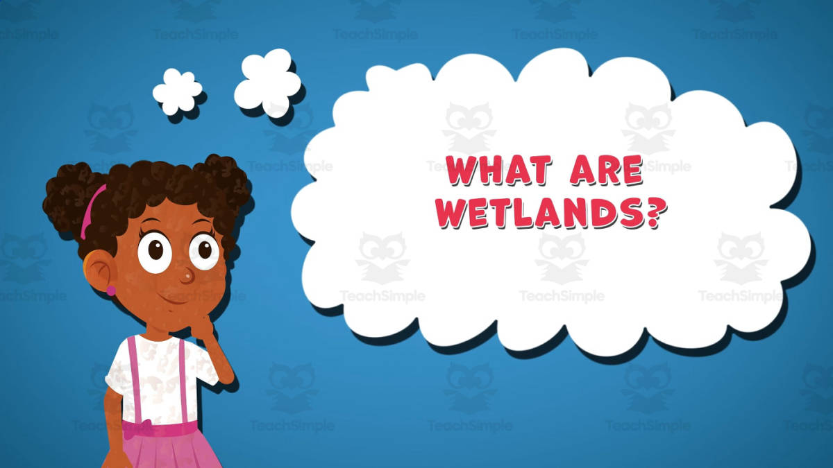 An educational teaching resource from Educational Voice entitled I WONDER - What Are Wetlands | Animated Video Lesson downloadable at Teach Simple.