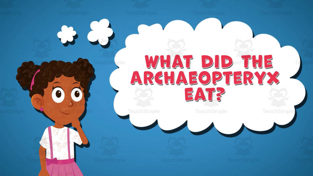 An educational teaching resource from Educational Voice entitled I WONDER - What Did The Archaeopteryx Eat | Animated Video Lesson downloadable at Teach Simple.