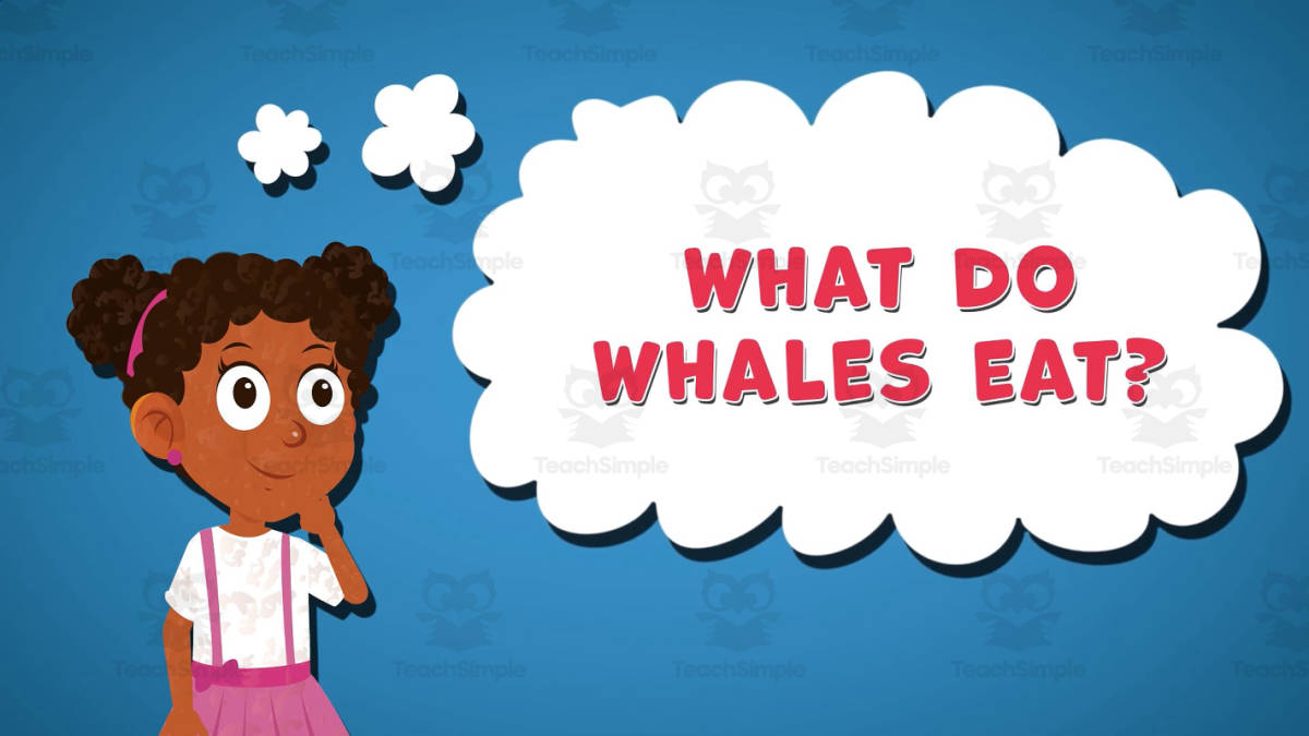 An educational teaching resource from Educational Voice entitled I WONDER - What Do Whales Eat | Animated Video Lesson downloadable at Teach Simple.