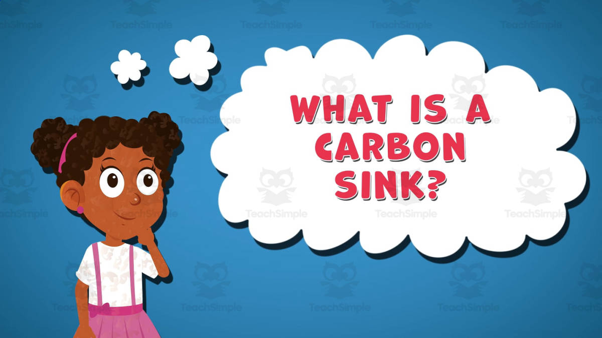 An educational teaching resource from Educational Voice entitled I WONDER - What Is A Carbon Sink | Animated Video Lesson downloadable at Teach Simple.